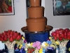 fountain-at-the-art-institute-military-dream-wedding